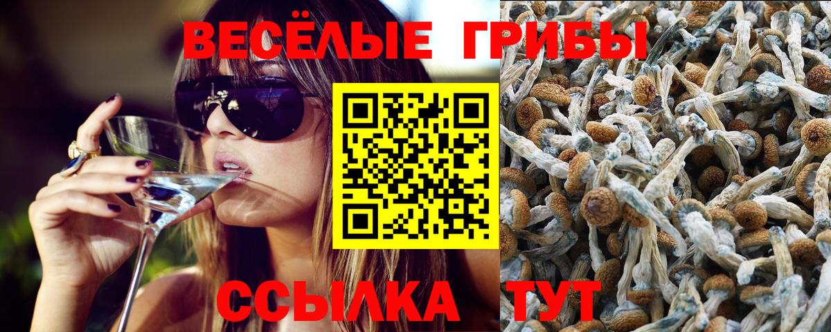 Галлюциногенные грибы GOLDEN TEACHER Нижний Новгород