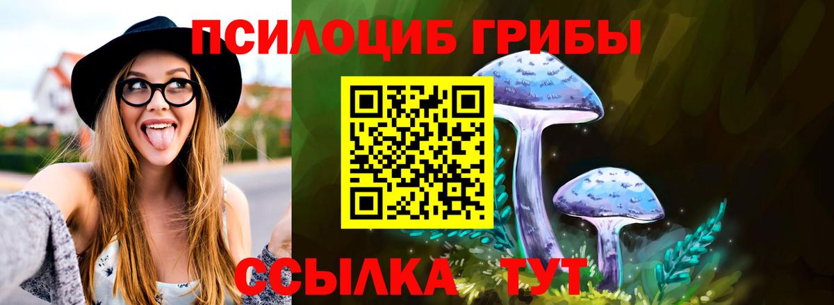Нижний Новгород  Псилоцибиновые грибы Cubensis  где продают наркотики  Псилоцибиновые грибы MAGIC MUSHROOMS  Вход с VPN 